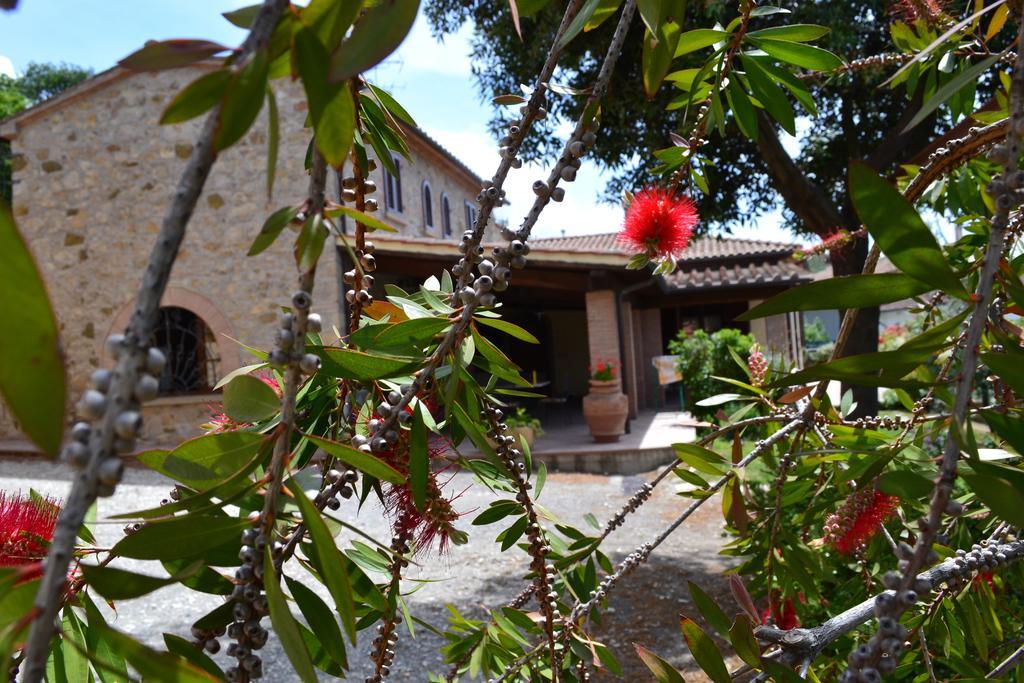 Agriturismo La Ghiraia Santa Luce Cameră foto